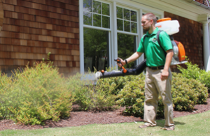 Mosquito Joe of Mid-Central NJ technician spraying bushes out of a home. 